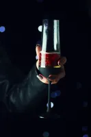 Juego de copas de vino espumoso de 2 uds. PAS42340728200B
