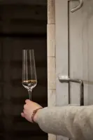 Juego de copas de vino espumoso de 2 uds. PAS42340728200W