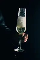 Juego de copas de vino espumoso de 2 uds. PAS45440728200