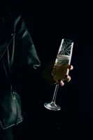 Juego de copas de vino espumoso de 2 uds PAS45540728200G