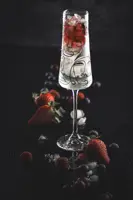 Juego de copas de vino espumoso de 2 uds.PAS460240862210