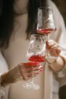 Juego de copas de vino 2 uds. PAS460240862360