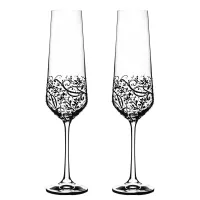 Juego de copas de vino espumoso de 2 uds PAS47040728200