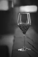 Juego de copas de vino 2 uds.PAS47040815360M