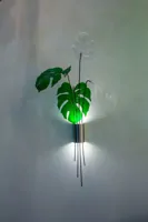 Aplique LE-MON-WL002