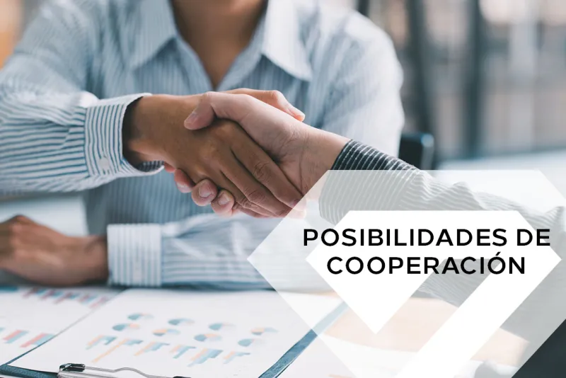 Posibilidades de cooperación >>